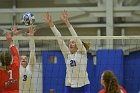 Wheaton Women's Volleyball  Wheaton Women's Volleyball vs Bridgewater State University. : Wheaton, Volleyball, BSU, Bridgewater State College